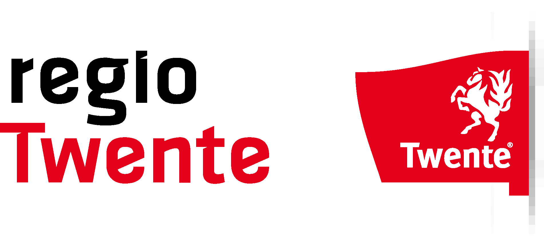 Regio Twente Logo Vector Logo